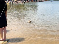 -长春市南湖公园