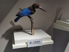 -大连自然博物馆