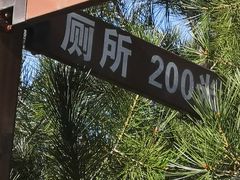 -永定河休闲森林公园