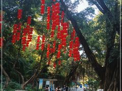 -晓港公园