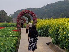 -广州市石门国家森林公园
