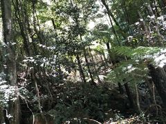 -悉尼蓝山三姐妹峰