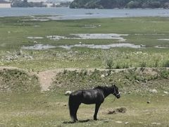 -十三陵水库
