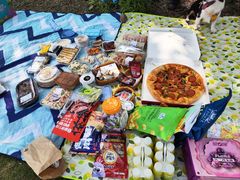 -上海海湾国家森林公园