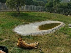 -西安秦岭野生动物园