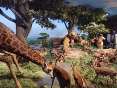 -国家自然博物馆