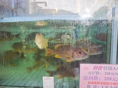 -荔城生鲜盛宴(番禺旗舰店)