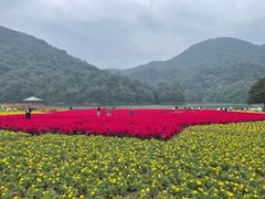 -广州市石门国家森林公园