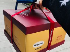 -哈根达斯(扬州瘦西湖店)