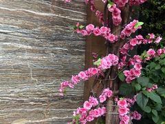 -JOYA湾悦国际酒店(世界之窗店)