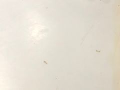 桌子-阳坊胜利涮羊肉(阳坊老店)