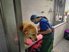 -宠福鑫康馨动物医院·骨科·眼科