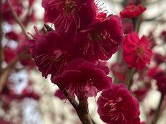 -北京鹫峰国家森林公园