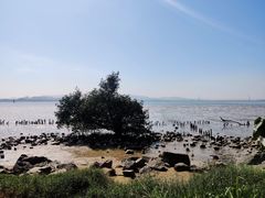 -深圳湾公园(南山区)