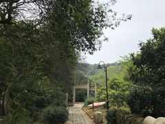 -雨花胜境