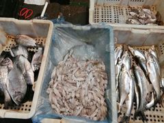 -大连熟食品交易中心