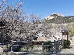 -无染寺