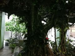 -中国湿地博物馆