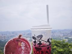 -茶颜悦色(岳麓山顶店)