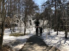 -轻井泽高原教堂