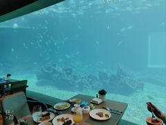 -涛·海底餐厅·美人鱼·自助餐·海底隧道(三亚海棠湾洲际度假酒店)