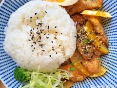 月桂冠-肥朵食堂(带梦胡同店)