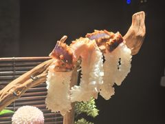 -蟹犇前•帝王蟹雪蟹(陆家嘴店)