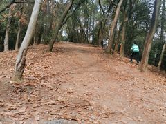-三门江国家森林公园