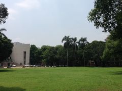 -中山大学学者灵芝(园南路店)