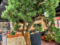 -丁卯•铜锅涮肉(工体店)