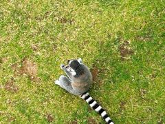 -鄂尔多斯野生动物园