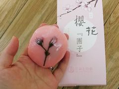 -云朵上的鱼(莘庄店)