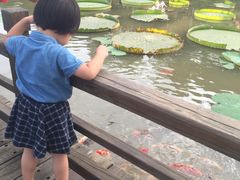 -大湾区中央湿地公园