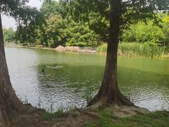 -白塘生态植物园