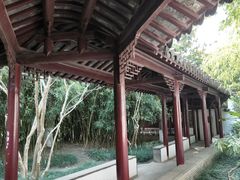-水绘园