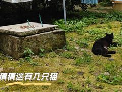 -湖北中医药大学(昙华林校区)