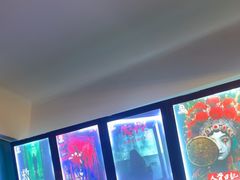 -荒岛实景沉浸密室(江汉路1店)
