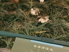 -温州博物馆