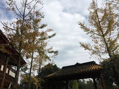 -青城甲(青城山店)