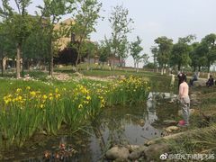 -滆湖低碳生态公园