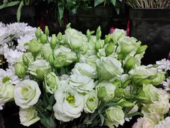 -ChaKo Flora ·茶子花艺 (市北店)