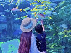 -海合安成都极地海洋公园