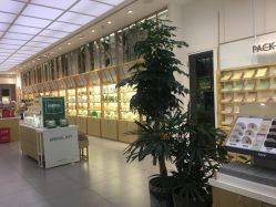 -悦诗风吟innisfree