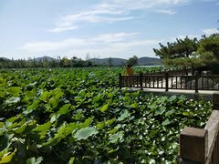 -云龙湖旅游景区