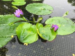 -台山颐和温泉城