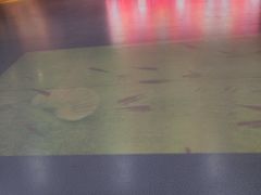 -福州科技馆