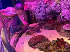 -沈阳海洋探索中心