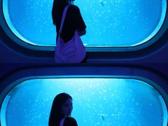 -福州罗源湾海洋世界旅游区