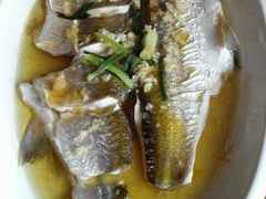 白水鱼-逢源酒楼(东大街店)