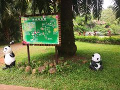 -海南热带野生动植物园